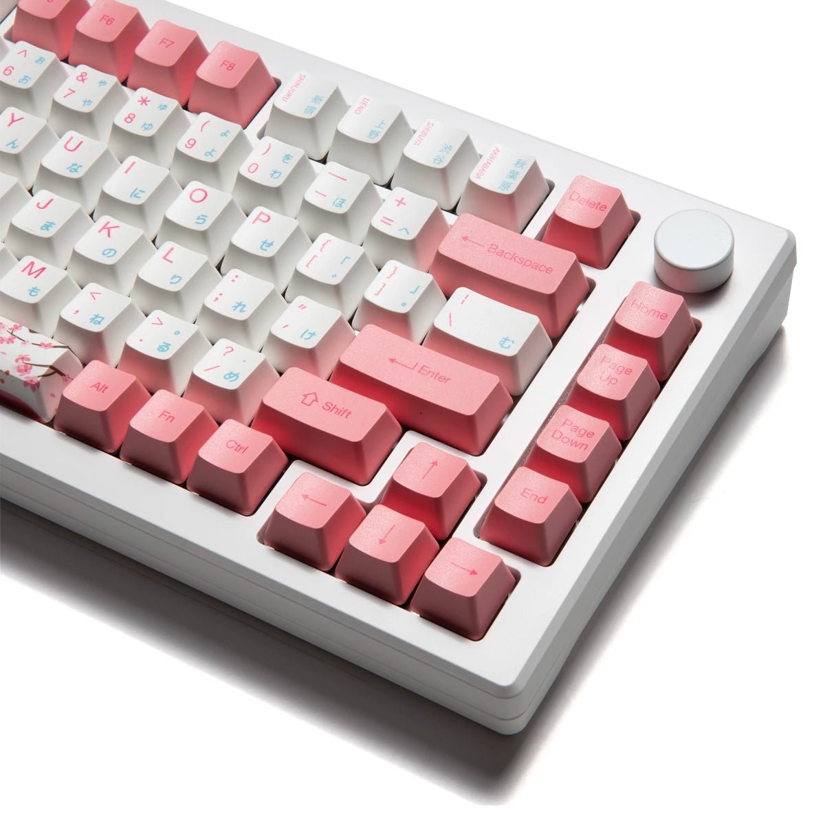 Akko MOD 007B HE 75% Keyboard - Divinikey