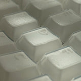 PBTfans X-Ray Keycap Set - Divinikey