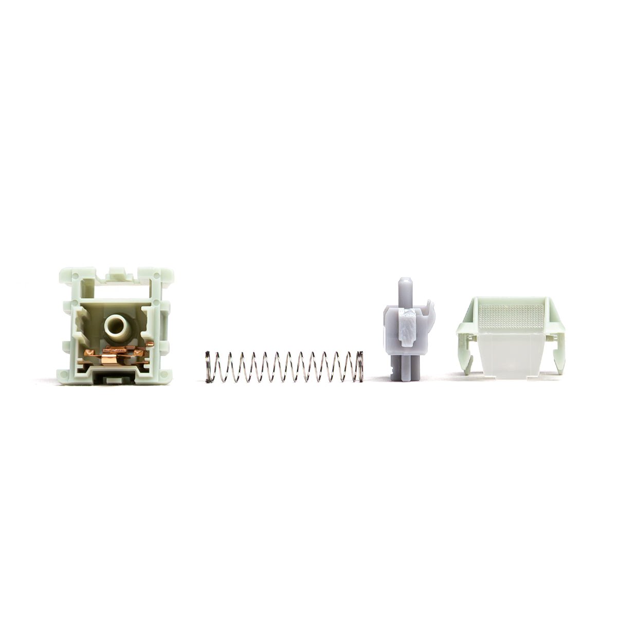 Wingtree Qingyan Tactile Switches - Divinikey