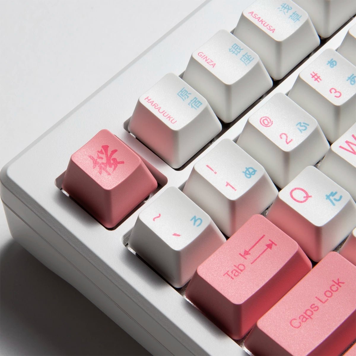 Akko MOD 007B HE 75% Keyboard - Divinikey