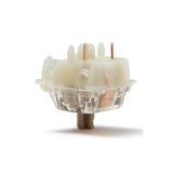 Gateron Baby Raccoon Linear Switches - Divinikey