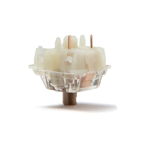 Gateron Baby Raccoon Linear Switches - Divinikey