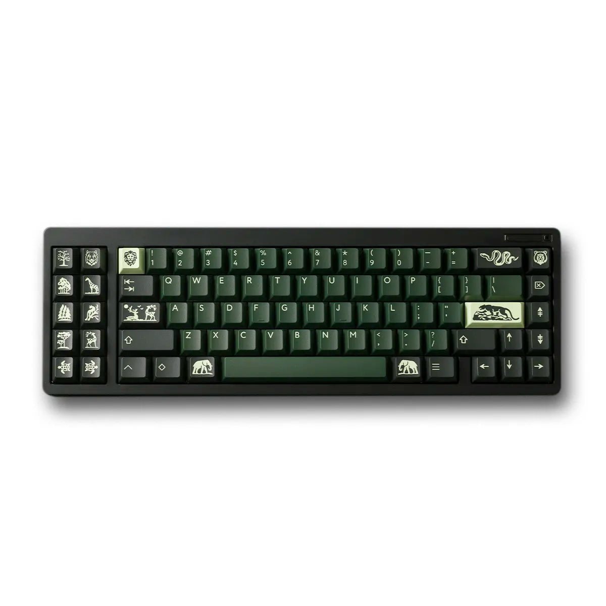 [Preorder] PBTfans Untamed Keycap Set Doubleshot ABS - Divinikey