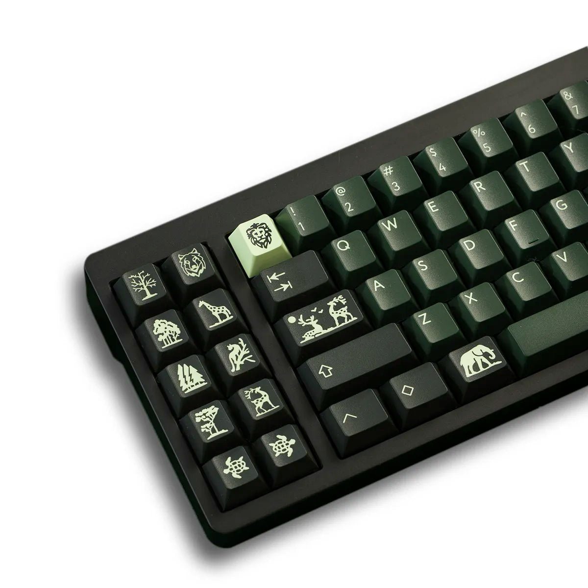 [Preorder] PBTfans Untamed Keycap Set Doubleshot ABS - Divinikey