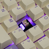 TTC HEY Linear Switches - Divinikey